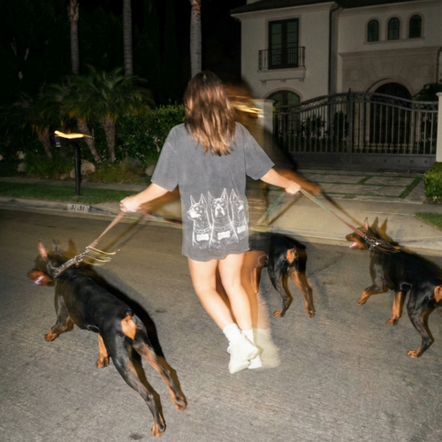 Doberman Core Tee